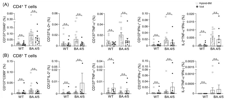 SARS-CoV-2 야생형(wt) 및 오미크론 하위 변이 BA.4/5에 대한 기억 T 세포 반응.