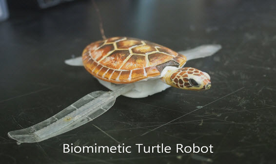 지능형 연성 복합재를 사용하여 만들어진 거북이 로봇