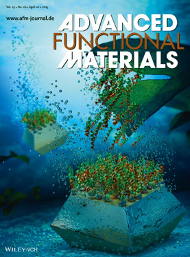 Advendced Functional Materials 표지