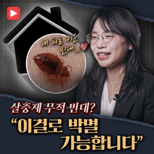 [샤로잡다] 빈대, 정말 심각한 거 맞아? 직접 키우며 연구한 빈대 박멸법 대공개!