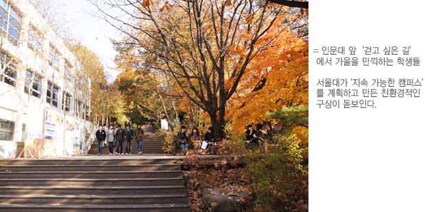 인문대 앞 걷고 싶은 길에서 가을을 만끽하는 학생들, 서울대가 지속 가능한 캠퍼스를 계획하고 만든 친환경적인 구상이 돋보인다