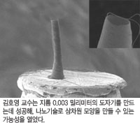 김호영 교수는 지름 0.003 밀리미터의 도자기를 만드는데 성공해, 나노기술로 삼차원 모양을 만들 수 있는 가능성을 열었다