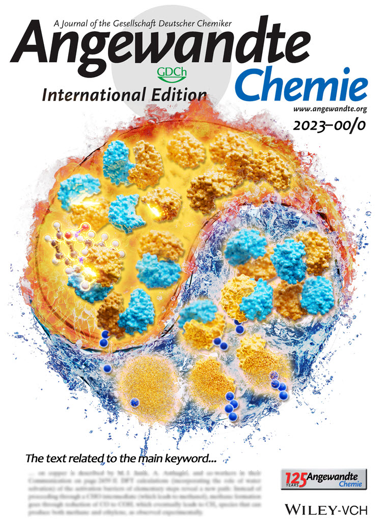 ‘Angewandte Chemie International Edition’ 표지