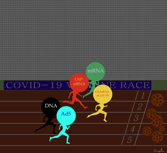 〈COVID-19 Vaccine Race〉그림: 원광대학교 산본병원 외과 박수진 교수