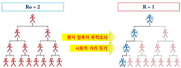 그림 1. 역학조사의 효과