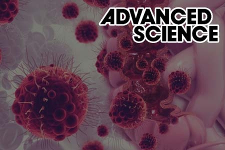 대장암 오가노이드를 사용한 단일 종양유래 분자 이질성 및 항암제 반응성 예측
