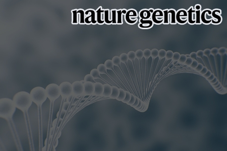 빠르고 정확한 유전체 희귀변이 연관성 분석 방법 개발