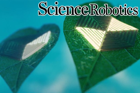 물속을 ‘나는 양탄자’? 나뭇잎 움직임 모사한 수중 소프트 로봇 개발