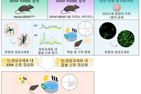 희귀난치성 발달질환에 의한 학습 장애 원인 규명