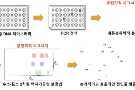 신약의 원천 물질인 천연물의 논리적 발굴 플랫폼 개발