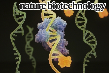 초병렬적 고순도 핵산(DNA/RNA) 정제기술 개발