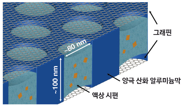 학술지 ‘Advanced Materials’에 게재된 연구 성과 요약 그림. 본 연구진이 개발한 액상 관찰 플랫폼