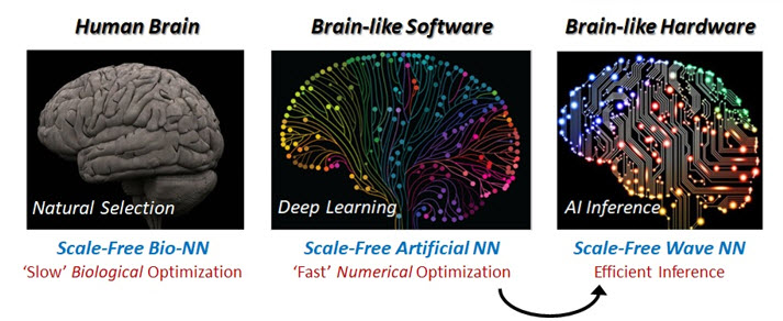 [그림 1] 이번 연구의 개념도: (왼쪽) 척도 없는 특성을 갖는 인간의 두뇌. 매우 느린 생물학적 진화의 결과이다. (가운데) 두뇌의 신경망을 소프트웨어적으로 모사한 딥러닝 인공신경망. 역시 척도 없는 네트워크로서의 특성을 가지며, 이는 빠른 수치해석 최적화를 통한 진화의 결과이다. (오른쪽) 뉴로모픽 소프트웨어-딥러닝 인공신경망-를 이용하여 역설계한 척도없는 파동 하드웨어시스템. 두뇌의 특성을 닯아서 우수한 성능의 뉴로모픽 하드웨어로 응용가능하다.