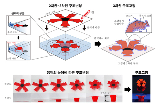 ▲ 사진1. 2차원 펜 그림이 3차원 구조로 변환되는 원리