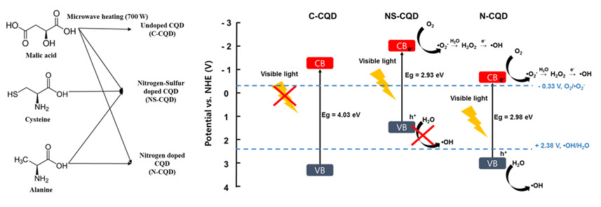 도핑이 되지 않은 탄소양자점(C-CQD)은 밴드갭 에너지가 가시광선보다 커서 가시광선 하에 활성을 나타내지 않는다. 한편, 도핑된 탄소양자점은 밴드갭 에너지가 감소하여 가시광선에 활성이 될 수 있는 상태로 변하였다. 또한, 질소 도핑 탄소양자점(N-CQD)은 질소-황 도핑 탄소양자점(NS-CQD)보다 유리한 광촉매 메커니즘과 더 큰 양자수득률, 형광 수명, 비표면적을 가져 광촉매 활성이 더 뛰어났다.