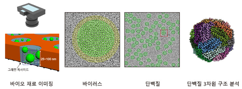 ▲ Advanced Materials에 게재된 연구 성과 요약 그림