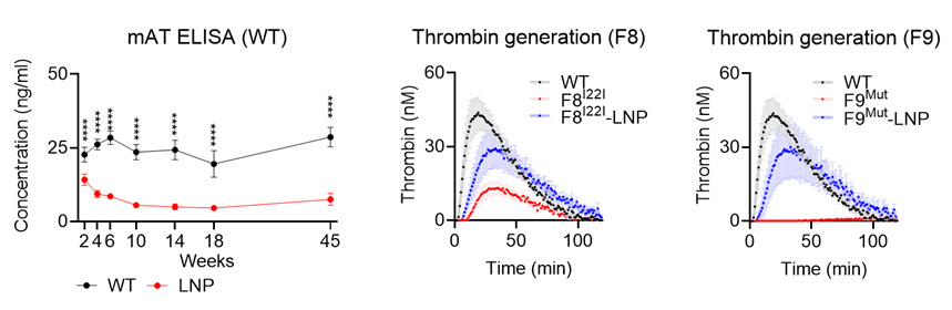 그림 1. LNP-유전자가위에 의한 혈중 안티트롬빈의 장기적인 조절 효과(왼쪽) 및 혈우병 모델(A형-가운데; B형-오른쪽)에서의 트롬빈 형성 개선 효과