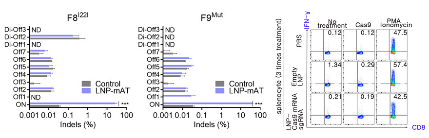 그림 2. 혈우병 모델에서(A형-왼쪽; B형-가운데) LNP-유전자가위에 의한 비표적(Off-target) 교정이 검출되지 않음. LNP-유전자가위의 반복 투여에 의해서도 낮게 유지되는 T 세포 면역반응 (오른쪽)