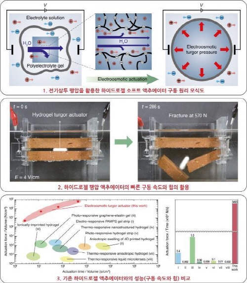 ▲ 하이드로젤 팽압 액추에이터의 구동 원리 모식도 및 활용, 기존 하이드로젤 액추에이터와의 성능(구동 속도와 힘) 비교