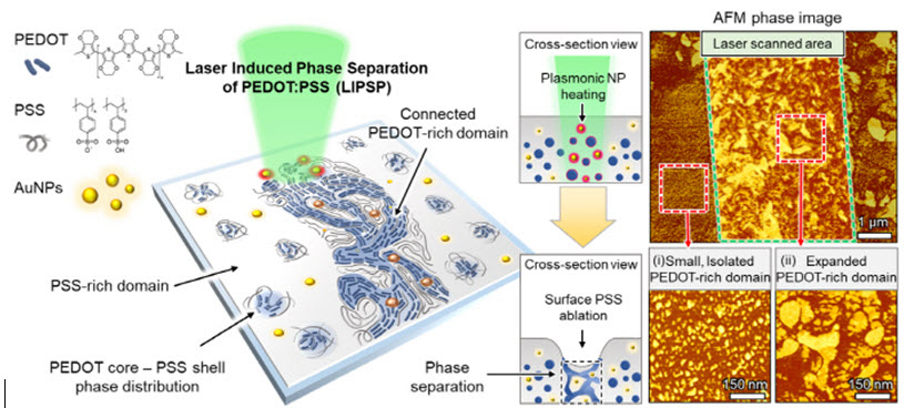 ▲ 레이저 기반 전도성 고분자 PEDOT:PSS의 국소 상 분리 공정