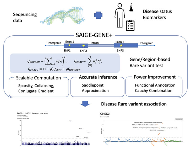 SAIGE-GENE+ Overview