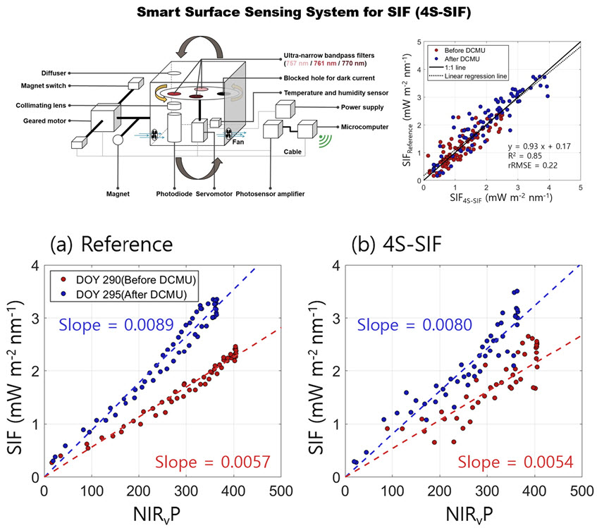 그림 1. 연구팀에서 개발한 SIF 탐지를 위한 스마트 근접 표면 센싱 시스템(4S-SIF)의 모식도 및 관측된 SIF 결과. 상업적으로 판매되는 분광계로 탐지된 SIF와 연구팀이 개발한 센서에서 탐지된 SIF의 상관관계가 높음. 또한, 억제 제초제(DCMU)를 처리하였을 때, 관측된 SIF값이 증가한 것을 확인할 수 있음.