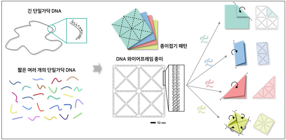 (그림 1) 종이접기 패턴 형태의 디엔에이(DNA) 와이어프레임 종이 나노구조체 및 원하는 부분의 접힘을 통한 다양한 모양으로의 형상 변형 개념도