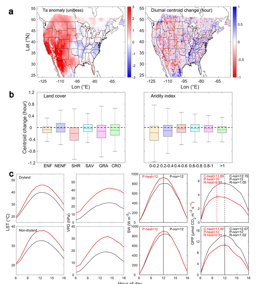 Fig. 1.  평년대비 2020년 폭염 기간 동안 미국 전역의 환경인자, 일차생산량, 및 일주 지표의 변화. (A) MERRA-2 기온 표준화 정규화 이상치 및 폭염 기간 일주중심시간 변화 비교. (B) 건조도에 따라 생태계별로 다르게 나타나는 폭염에 대한 일주 지표의 반응 비교 (더 작은 건조 지수(AI) 값은 더 건조한 조건을 나타냄). (C) 일반(검정색) 및 폭염(빨간색) 년도에 대한 건조지와 비건조지의 시간대별 지역평균 지표면 온도 (LST), 대기건조도 (VPD), 단파복사량 (SW)과 일차생산량 (GPP) 비교.