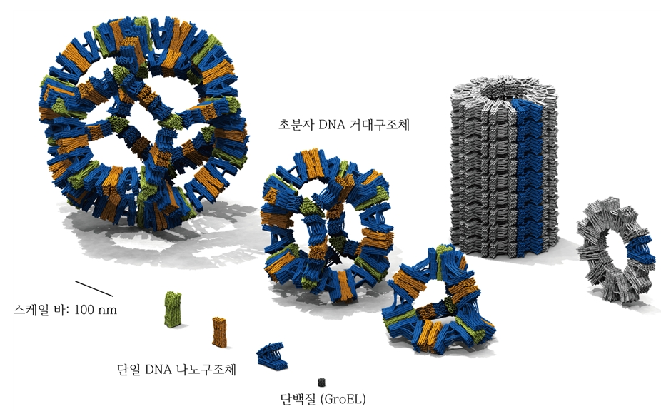 그림 2. AI 모델로 예측한 DNA 종이접기 나노구조체