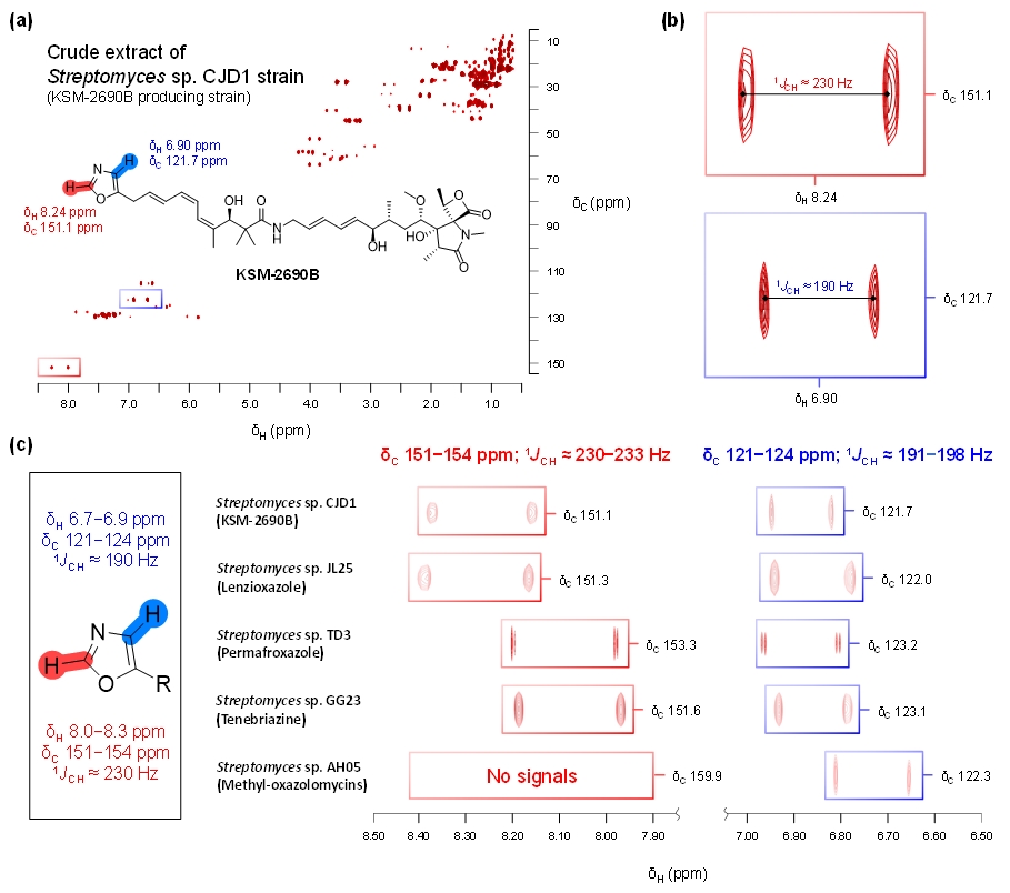 그림 3. 옥사졸을 구성하는 수소와 탄소의 화학적 이동값과 옥사졸의 1H-13C coupled-HSQC NMR 스펙트럼의 1JCH 분석