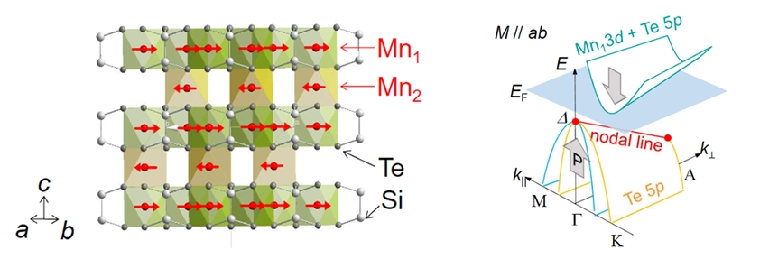 (왼쪽) 망간 실리콘 텔루라이드 화합물(Mn<sub>3</sub>Si<sub>2</sub>Te<sub>6</sub>)의 구조. 텔루륨(Te, 회색)과 망간 원자(Mn1, 빨간색)로 구성된 층 사이에 또 다른 망간 원자(Mn2, 빨간색)가 끼어있는 특별한 구조, (오른쪽) 페르미 준위보다 0.15 eV아래에 위상 전자 상태인 Te 5p 원자가띠가 형성되어 있다
