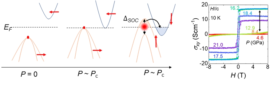 (왼쪽) Mn<sub>3</sub>Si<sub>2</sub>Te<sub>6</sub>의 위상 전자상태의 위치가 압력에 의해 상승하다가 페르미 준위에 닿을 때 스핀 재정렬에 의해 에너지 간격이 생기는 것을 보여주는 모식도. (오른쪽) 페르미 준위에서 위상 전자상태가 닿을 때 나타나는 위상 전도 현상 (이상 홀 효과)