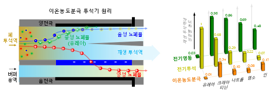▲ 그림2. (좌) 이온농도분극 투석기의 노폐물 제거 원리 (우) 이온농도분극에 의한 투석액 정수