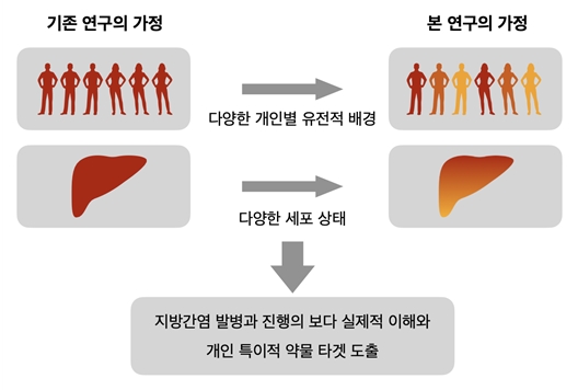 그림 1. 전체적인 연구 가설과 목표. 개인별 다양한 유전적 배경과 각 환자가 보유한 간 조직 내에서의 다양한 세포 상태를 실험적으로 구현하여 분석을 진행함