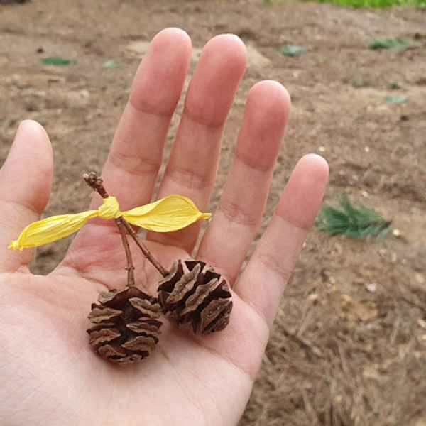 숲에서 쉬었다 가세요, 관악수목원에 다녀오다