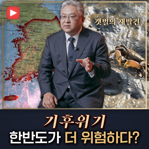 [샤로잡다] 한반도 기후위기, 갯벌에 주목해야할 이유?