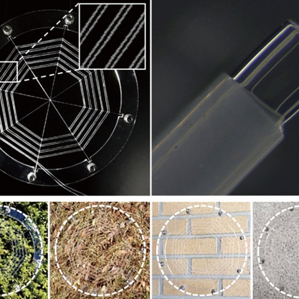 자연 모사를 통한 거미줄 로봇 개발