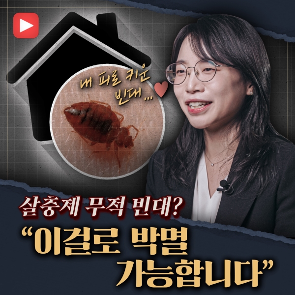 [샤로잡다] 빈대 오해와 진실, 그리고 해결법은?