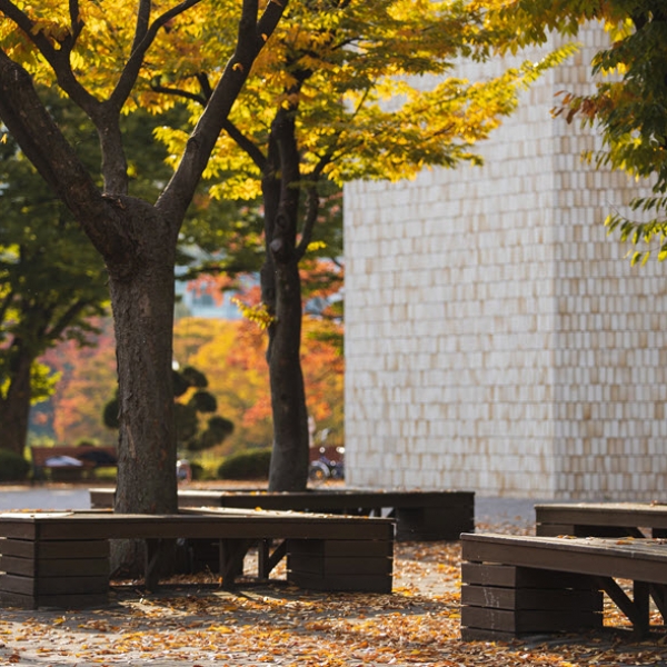 거리 제약 없이 알뜰살뜰 살림 꾸리기, 비대면 학생자치 이야기