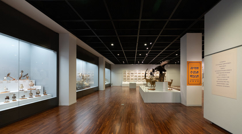 서울대학교 박물관에서 열리고 있는 ‘지식의 수집과 박물관’展