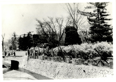 세느강변(문리과대학 앞), 1965.