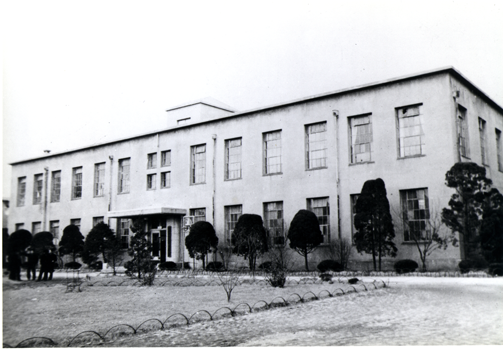1955년 동숭동 캠퍼스 법과대학, 1955.