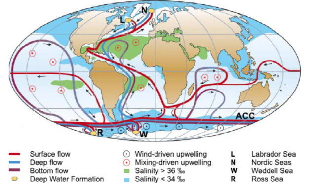 해류순환 모식도. 빨간색은 표층수, 파란색은 심층수의 흐름을 나타낸다. 노란 타원은 심층수가 형성되는 지역을 표시한다. 북대서양에서 심층수 형성이 차단되면, 남반구에서 북반구로 해양에 의한 열 수송이 차단되에 북대서양 인근 온도는 하강하고 남대서양 온도는 상승하게 된다. 그림출처: Kuhlbrodt et al. (2007, Review of Geophysics)