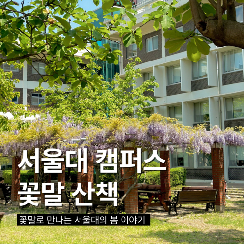 서울대 캠퍼스 꽃말 산책