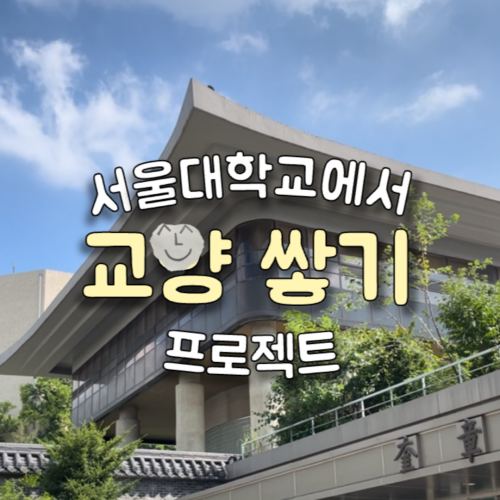 선배님 선배님 서울대에 뭐 재밌는 일 없을까요??