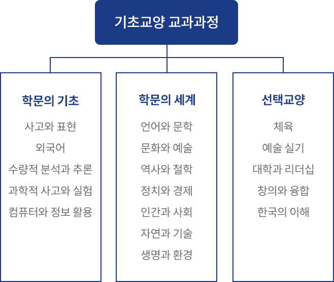 기초교양 교과과정 하단 글 참고